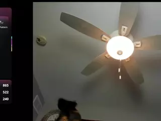 picky's Live Sex Cam Show