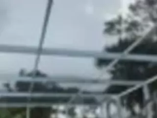 picky's Live Sex Cam Show