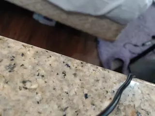 traphouseluv's Live Sex Cam Show