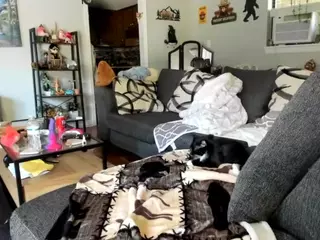 jadebay's Live Sex Cam Show