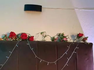 CloeLeee's Live Sex Cam Show