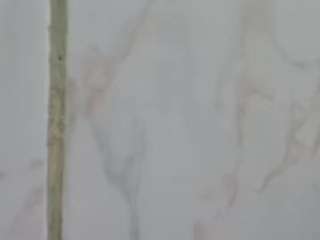 Karlapum