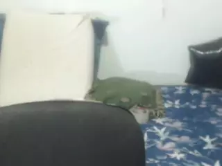 selenhax's Live Sex Cam Show