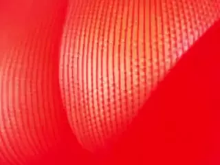 Jayda Wayda's Live Sex Cam Show