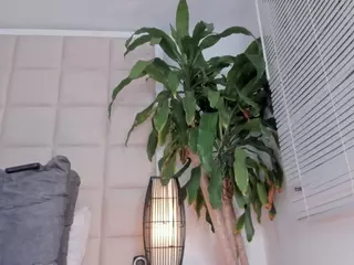 NIA's Live Sex Cam Show
