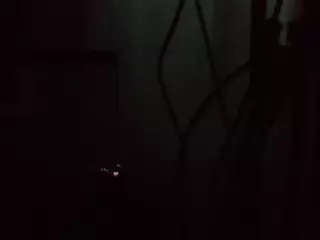 KitsuneMoon's Live Sex Cam Show