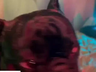 Chris's Live Sex Cam Show