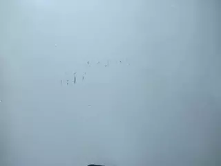PerlaEvansx's Live Sex Cam Show