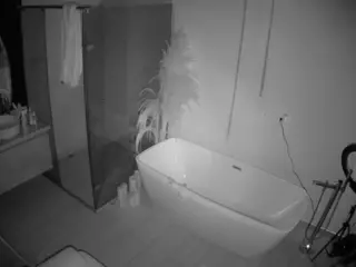 Casa Salsa Bathroom 2's Live Sex Cam Show