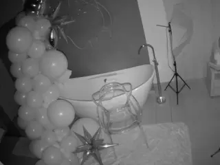 Casa Salsa Bathroom 5's Live Sex Cam Show