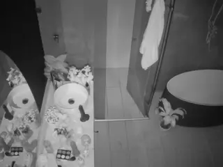 Casa Salsa Bathroom 6's Live Sex Cam Show
