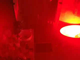 Casa Salsa Bathroom 6's Live Sex Cam Show