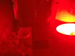 Casa Salsa Bathroom 6's Live Sex Cam Show
