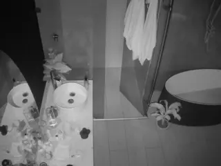 Casa Salsa Bathroom 6's Live Sex Cam Show