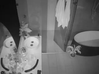 Casa Salsa Bathroom 6's Live Sex Cam Show