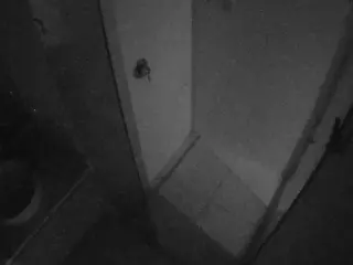 Casa Salsa Bathroom 7's Live Sex Cam Show