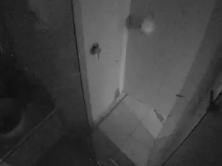 Casa Salsa Bathroom 7's Live Sex Cam Show