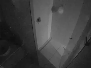 Casa Salsa Bathroom 7's Live Sex Cam Show