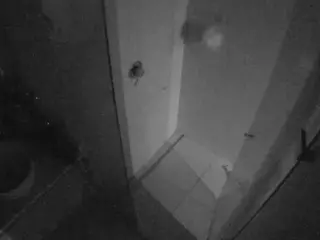 Casa Salsa Bathroom 7's Live Sex Cam Show