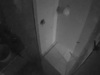 Casa Salsa Bathroom 7's Live Sex Cam Show