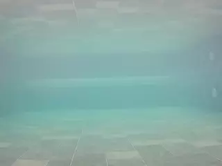 voyeurcam casa salsa pool 1's Live Sex Cam Show