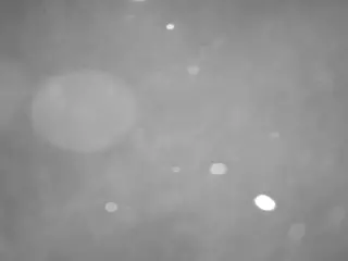 voyeurcam casa salsa pool 1's Live Sex Cam Show