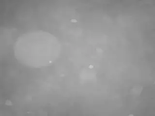 voyeurcam casa salsa pool 1's Live Sex Cam Show