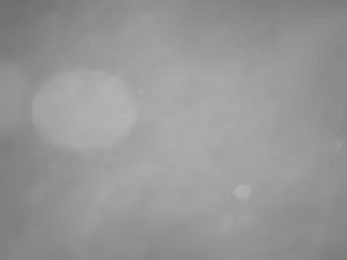 voyeurcam casa salsa pool 1's Live Sex Cam Show