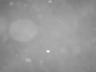voyeurcam casa salsa pool 1's Live Sex Cam Show