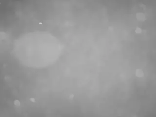voyeurcam casa salsa pool 1's Live Sex Cam Show