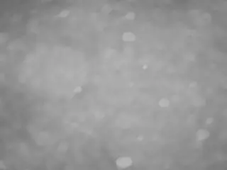 voyeurcam casa salsa pool 1's Live Sex Cam Show