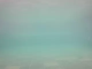 voyeurcam casa salsa pool 1's Live Sex Cam Show