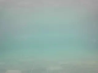 voyeurcam casa salsa pool 1's Live Sex Cam Show