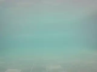 voyeurcam casa salsa pool 1's Live Sex Cam Show