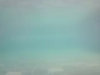 voyeurcam casa salsa pool 1's Live Sex Cam Show