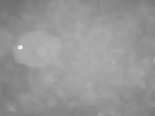 voyeurcam casa salsa pool 1's Live Sex Cam Show