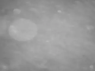 voyeurcam casa salsa pool 1's Live Sex Cam Show