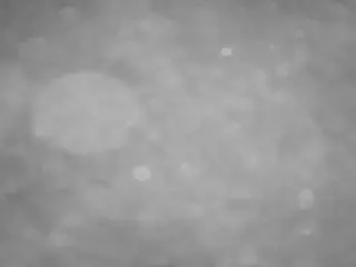 voyeurcam casa salsa pool 1's Live Sex Cam Show