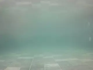 voyeurcam casa salsa pool 1's Live Sex Cam Show