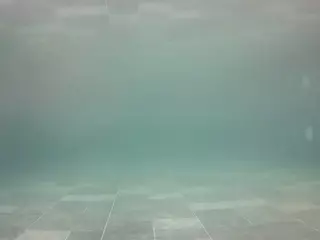 voyeurcam casa salsa pool 1's Live Sex Cam Show