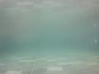 voyeurcam casa salsa pool 1's Live Sex Cam Show