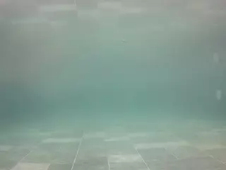 voyeurcam casa salsa pool 1's Live Sex Cam Show