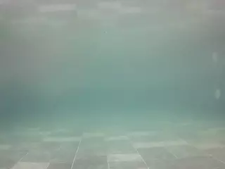 voyeurcam casa salsa pool 1's Live Sex Cam Show