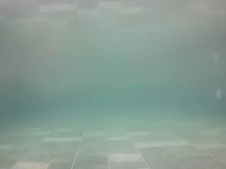 voyeurcam casa salsa pool 1's Live Sex Cam Show