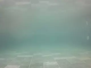 voyeurcam casa salsa pool 1's Live Sex Cam Show