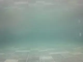 voyeurcam casa salsa pool 1's Live Sex Cam Show