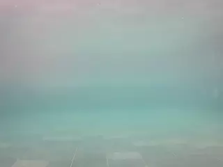 voyeurcam casa salsa pool 1's Live Sex Cam Show