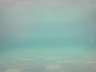 voyeurcam casa salsa pool 1's Live Sex Cam Show