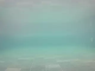 voyeurcam casa salsa pool 1's Live Sex Cam Show