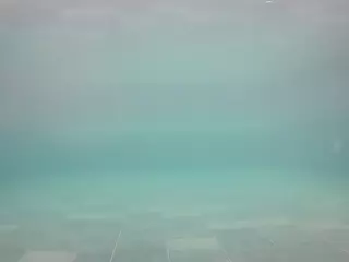 voyeurcam casa salsa pool 1's Live Sex Cam Show